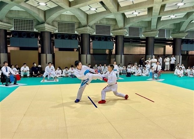 Karate tournament organised for overseas Vietnamese in Japan