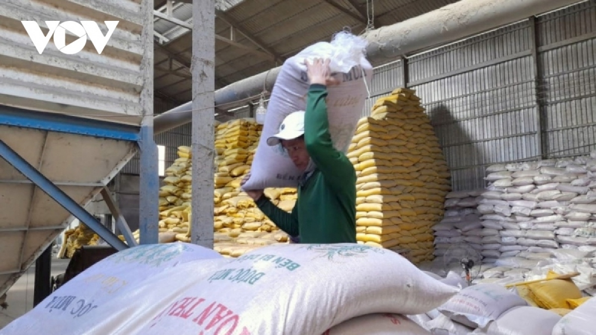 Price of Vietnamese rice for export suddenly bounces back