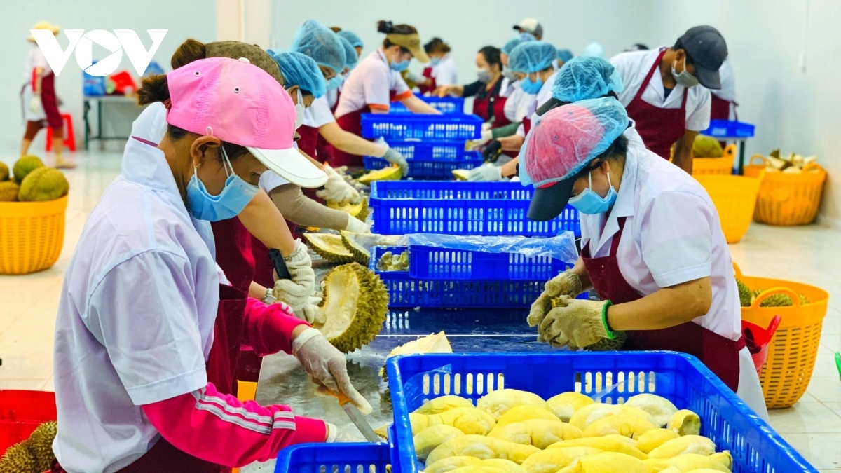 Vietnam-China trade turnover exceeds US$100 billion over eight-month period