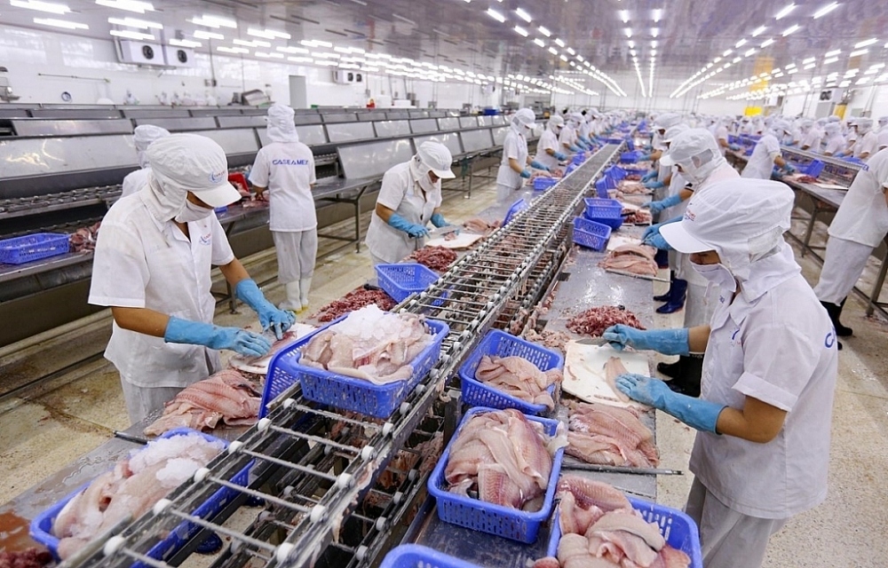 Vietnamese pangasius exports to Germany endure consecutive declines