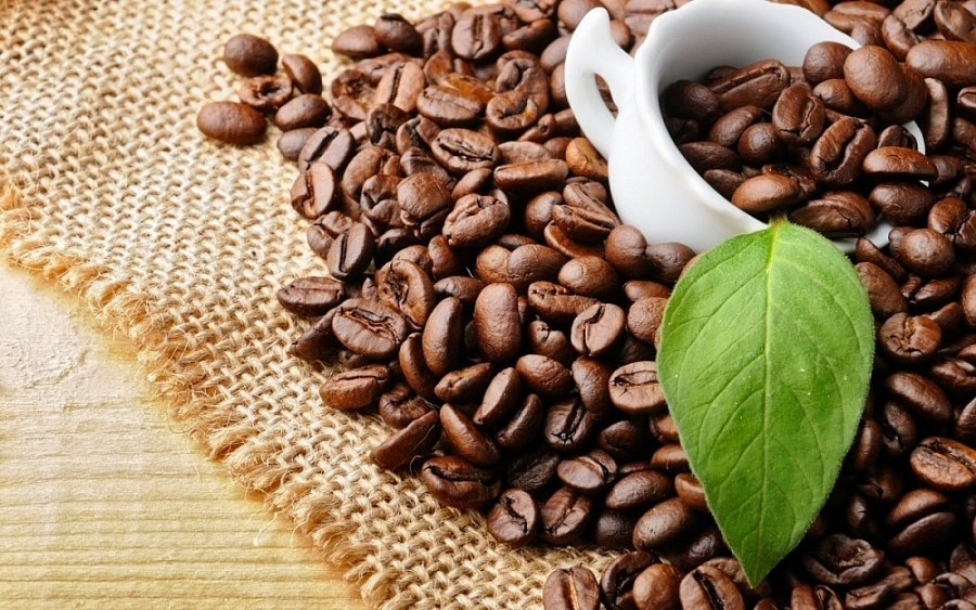 Vietnamese Robusta coffee exports to Japan record double-digit growth