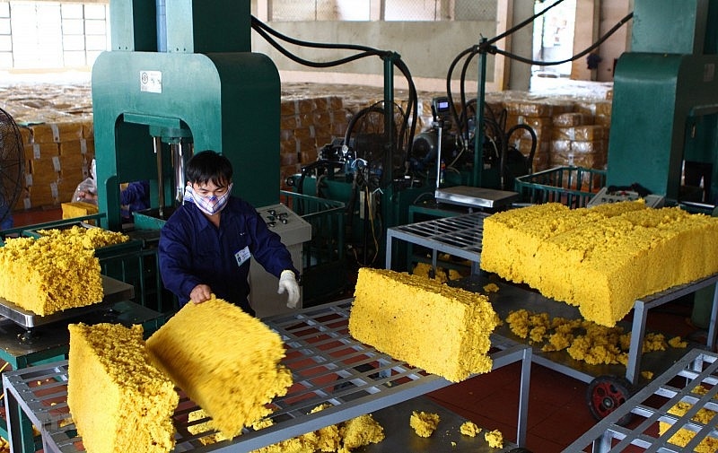 Vietnam among largest rubber suppliers to Japan