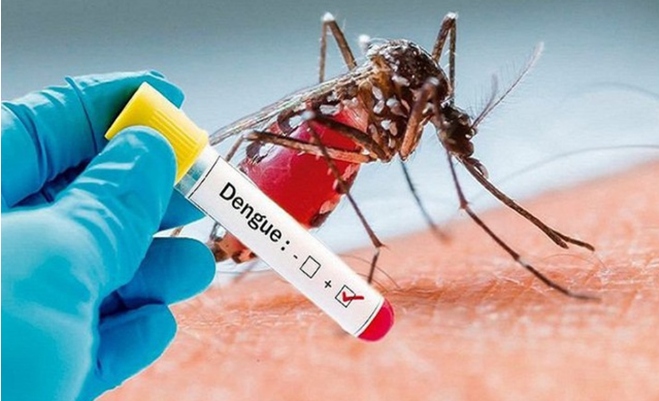 Vietnam reports 26 dengue deaths