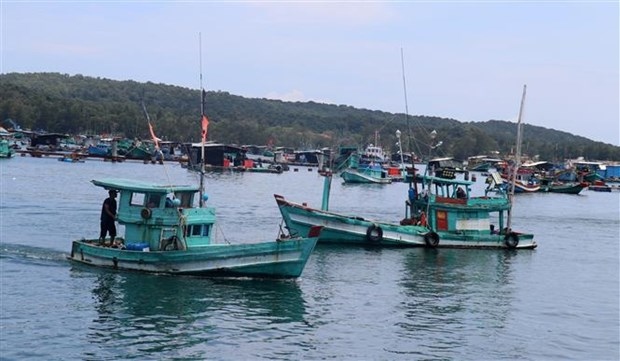 IUU combat: Changes seen in fishermen’s awareness of sustainable fisheries