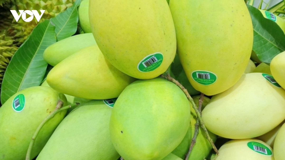 Vietnam is third largest supplier of mango to RoK