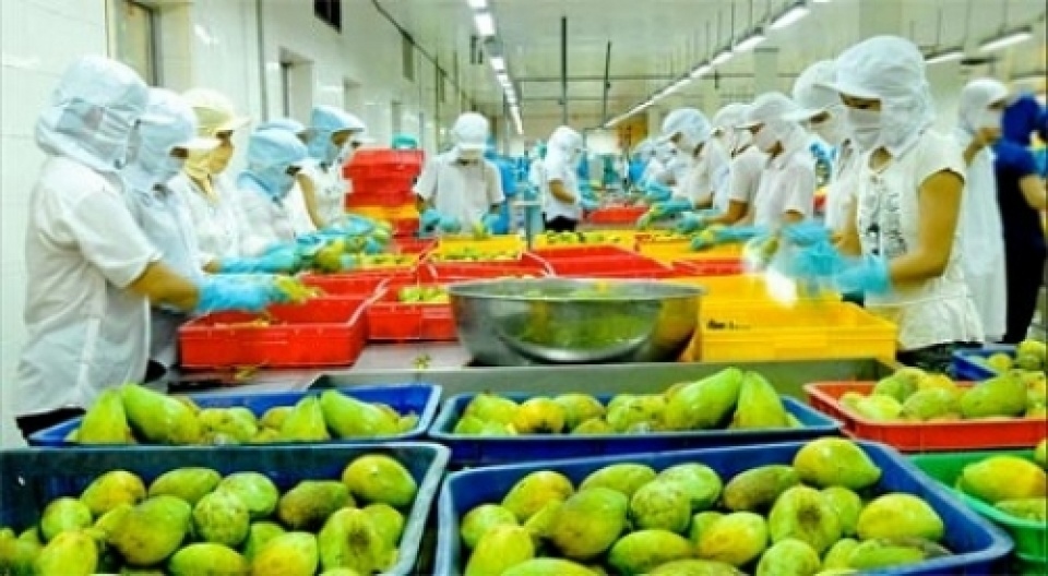 Fruit and vegetable exports exceed last year’s turnover
