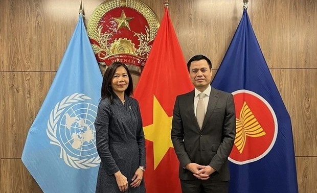 Countries see Vietnam as model in implementing SDGs: UN official