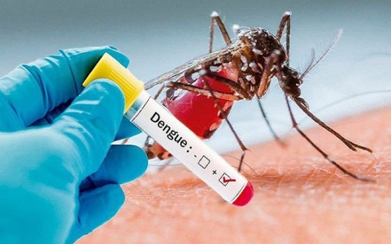 Hanoi records sharp rise in dengue fever cases