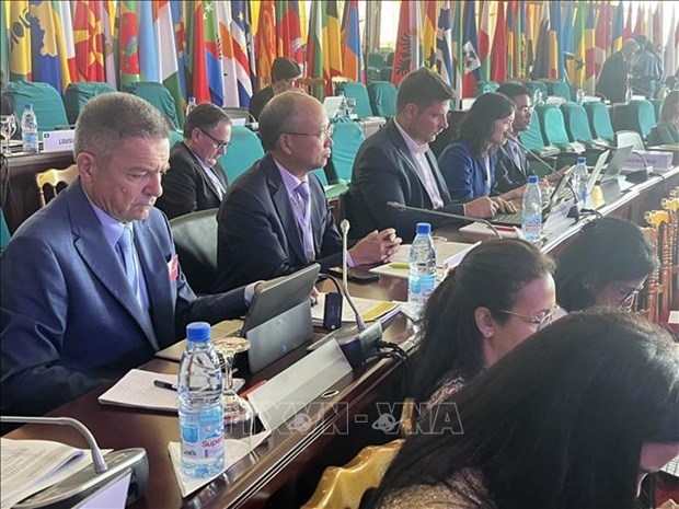 Vietnam attends Ministerial Conference of La Francophonie in Cameroon