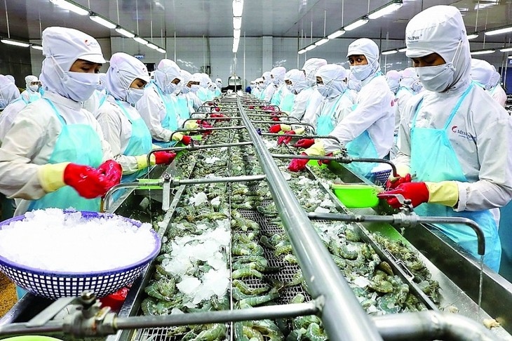 Shrimp exports to China likely to rebound this year
