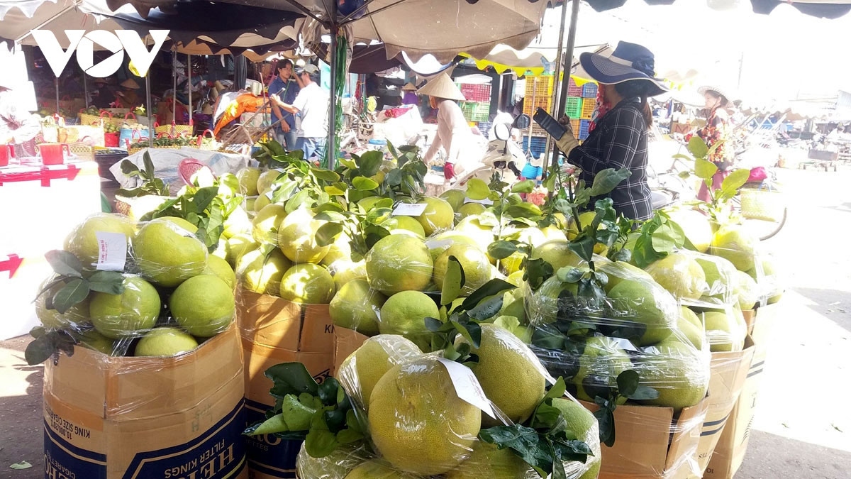 Vietnamese farm produce selling well in foreign markets in early 2024