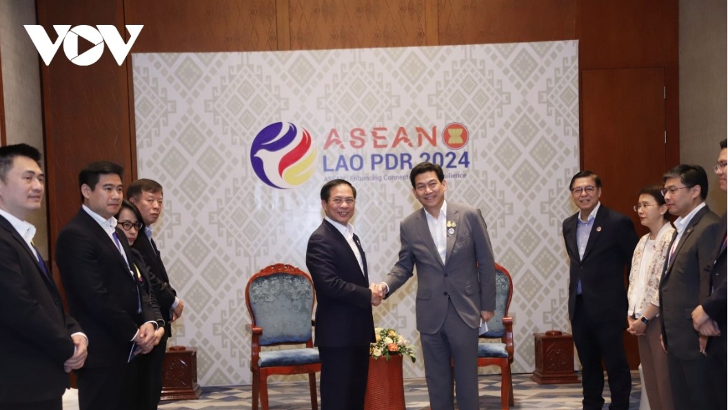 Vietnamese Foreign Ministry steps up cooperation with Thai and Malaysian counterparts