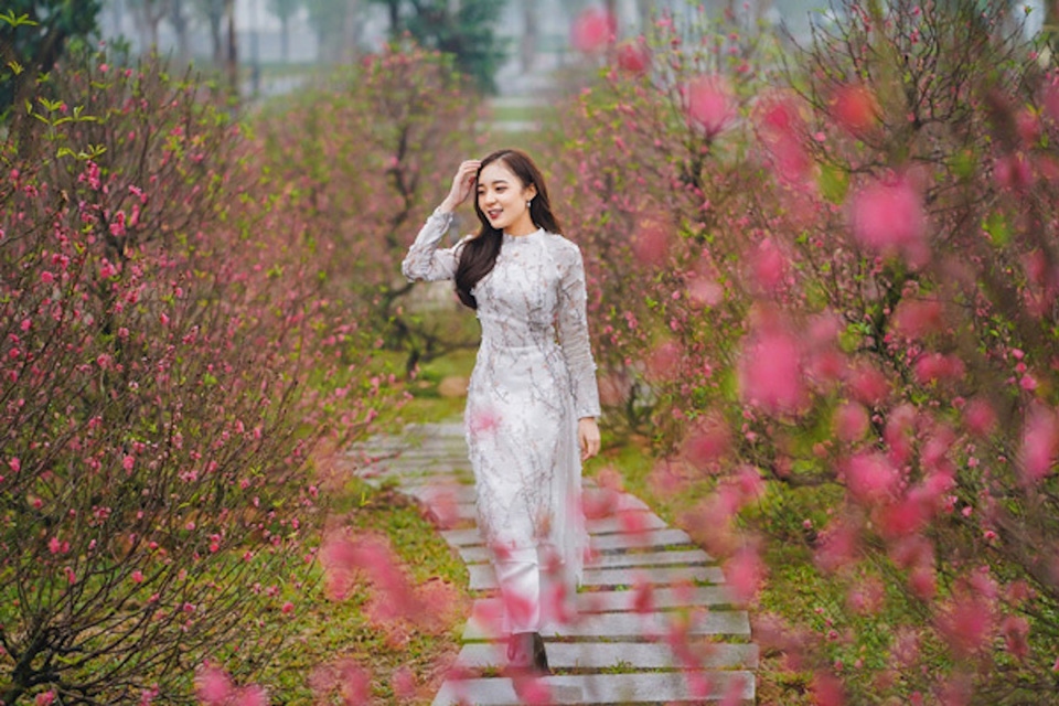Hanoi to host debut Tet peach blossom and kumquat tree festival