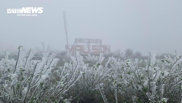 Mau Son peak covered in frost as temperatures sink to -1.1 degrees Celsius