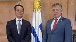 Plenty of room for Vietnam, Uruguay to boost cooperation: Uruguayan FM