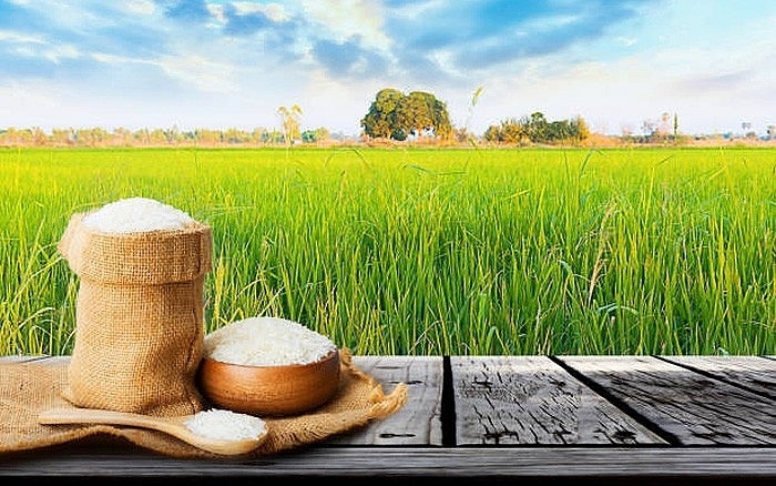 Vietnam’s export rice price plummets in global market