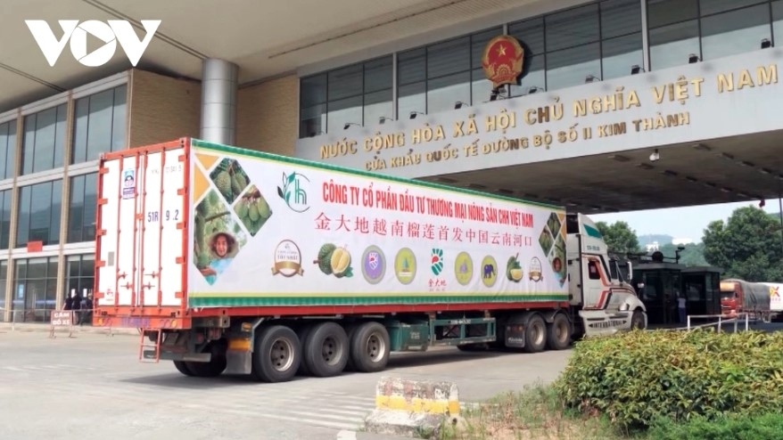 Ample room for Vietnamese exports to China in 2024