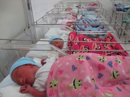 7,680 babies born during first three days of lunar New Year