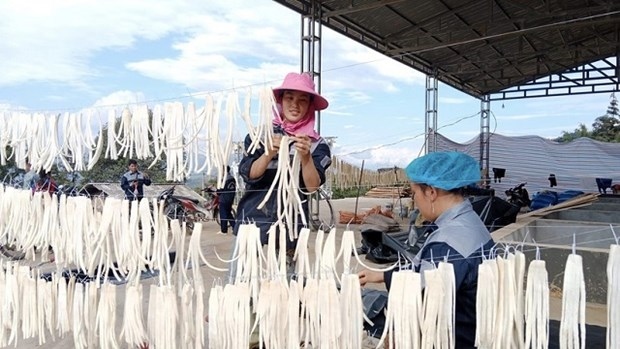 First container of Ha Giang pickled daikon in 2024 exported to Japan
