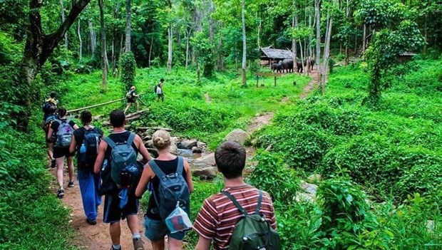 Vietnam advised to promote development of forest-based ecotourism