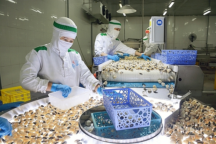 Vietnamese clam exports gross nearly US$79 million