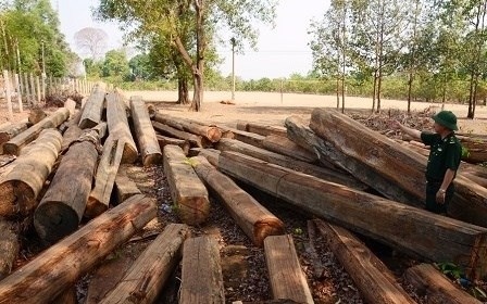 US Justice Department provides anti-timber trafficking training in Vietnam