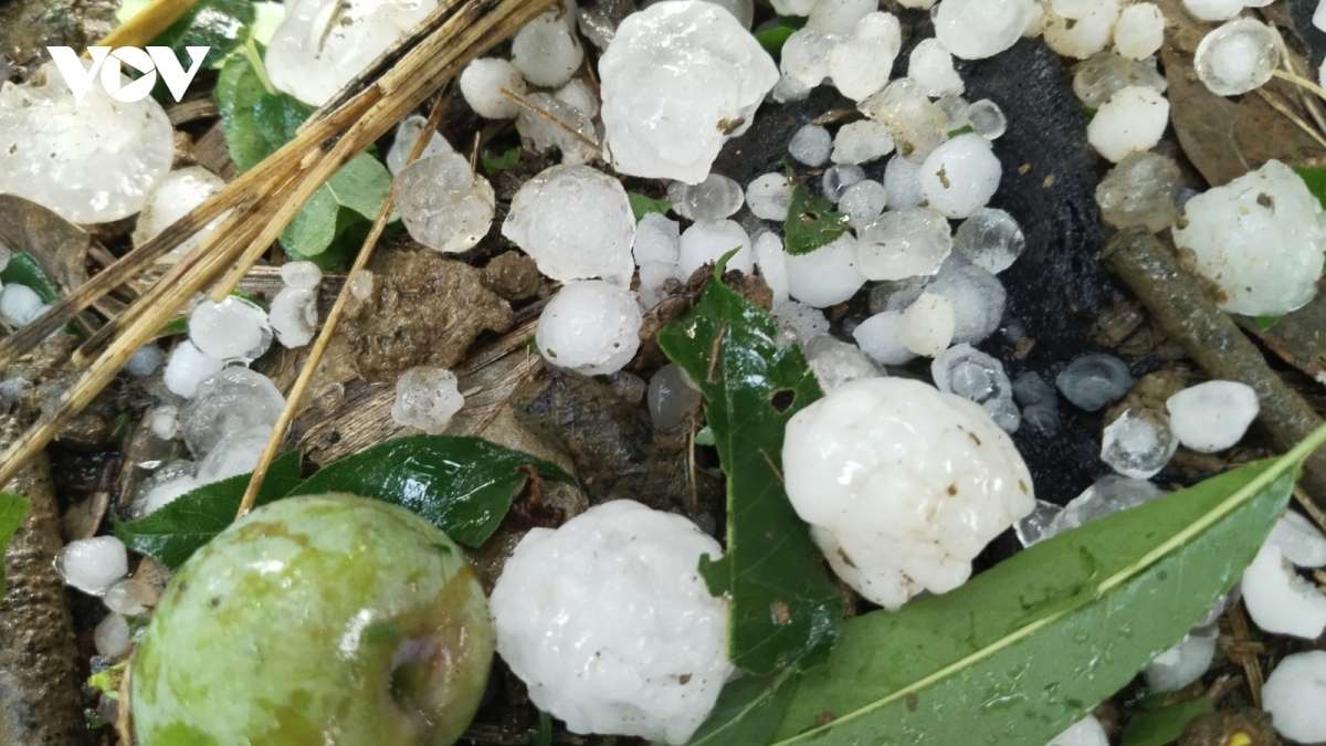 Hailstones, whirlwinds wreak havoc across northern localities