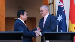 Vietnam-Australia ties become more effective, substantial: Scholars