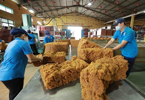 Vietnam earns US$160 million from rubber exports in Feb