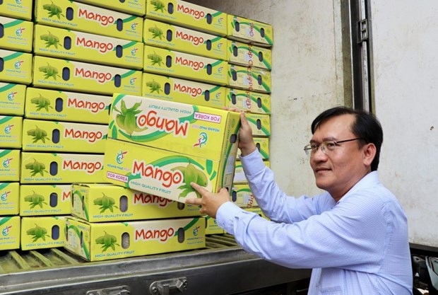 An Giang province exports first batch of acacia mangoes to RoK