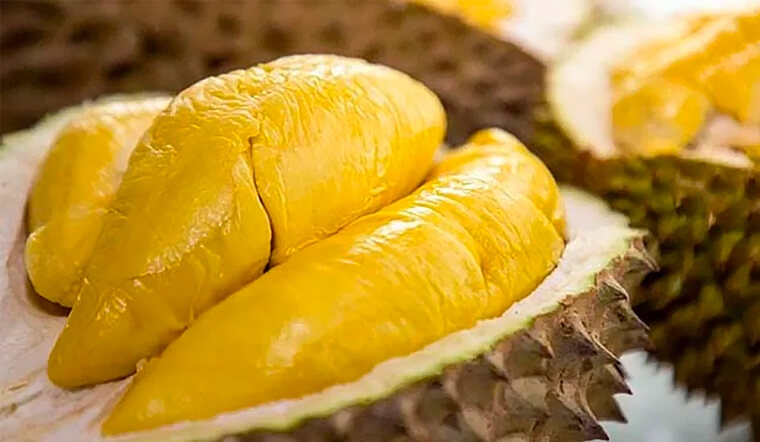 Vietnam outperforms Thailand to emerge as largest durian supplier for China