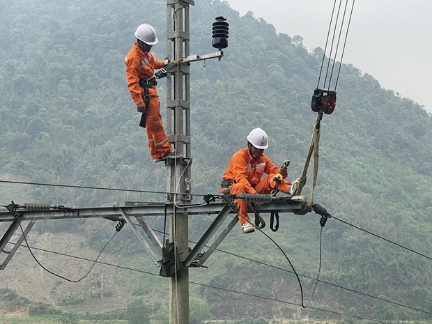 Fitch raises rating of Vietnam's northern power corporation