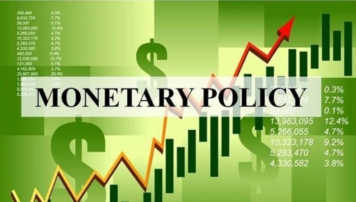 Vietnam shares monetary policy with financial and monetary partners
