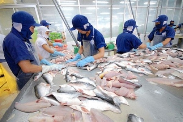 Pangasius exports to UAE surge by 67% in Q1