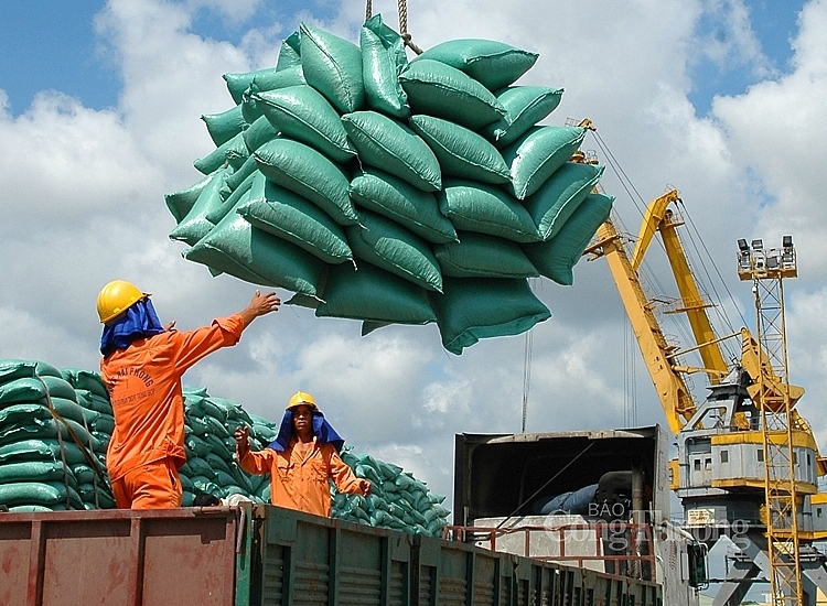 Vietnamese rice exports skyrocket at high-end markets