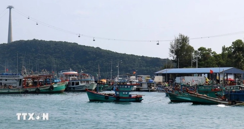 Ba Ria - Vung Tau gears up for EC inspection with "peak month" plan
