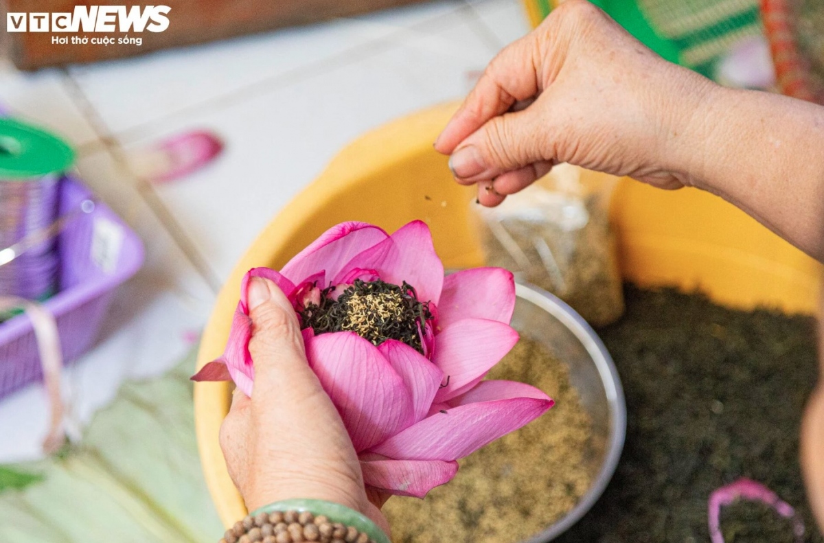 Discovering lotus tea making art of Hanoians