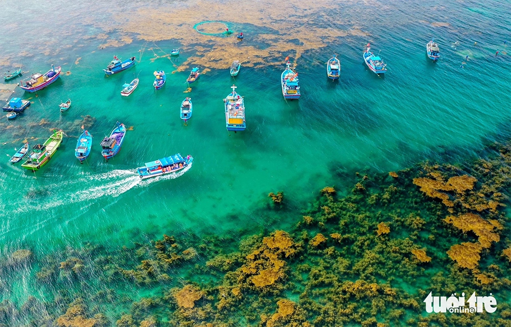 Perfect summer getaway to fishing villages in Binh Dinh