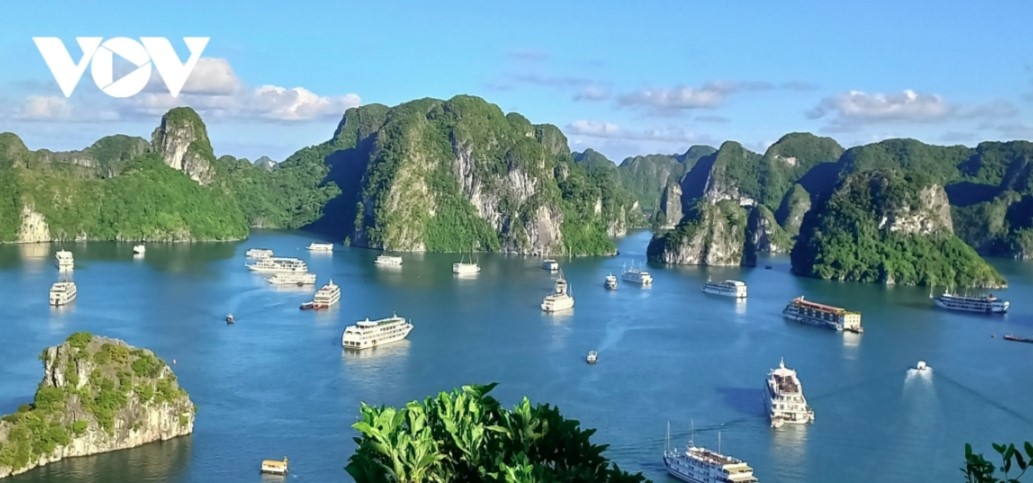 Vietnam dubbed as underappreciated gem in East Asia