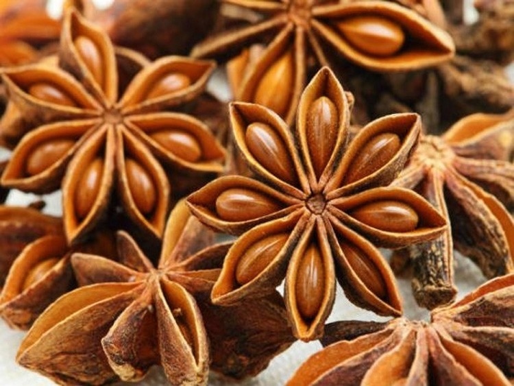 India is main market for Vietnamese star anise exports