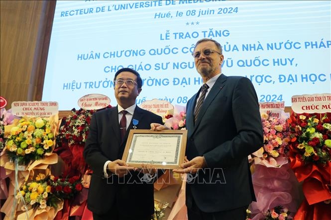Vietnamese professor honoured with French order of merit