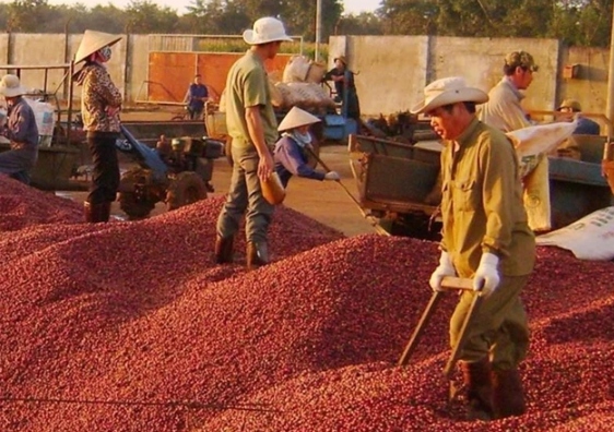 Coffee exports exceed US$3 billion