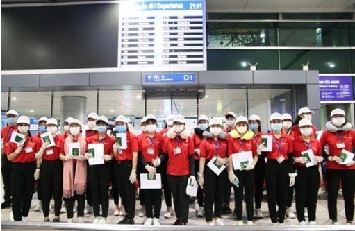 RoK locality hires Vietnamese seasonal agricultural labourers