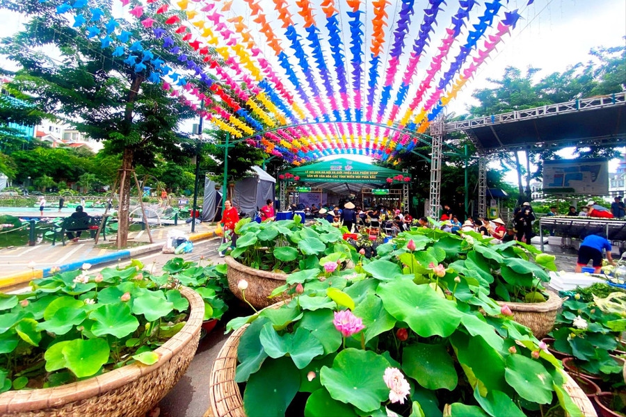 Hanoi ready to host first ever lotus festival