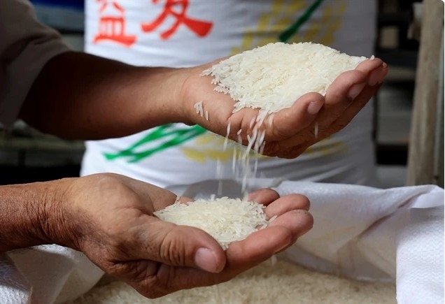 Vietnam's rice exports expected to have positive result in H2