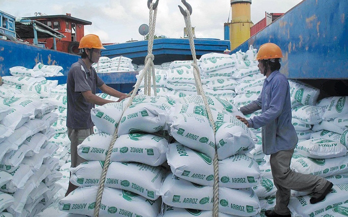 Vietnamese rice export prices hit nearly US$1,000 per tonne