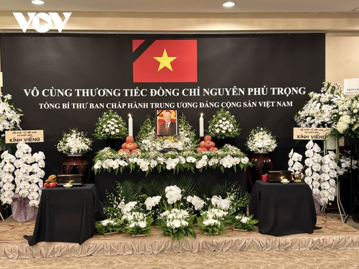 Vietnamese embassies hold tribute-paying ceremonies for Party chief