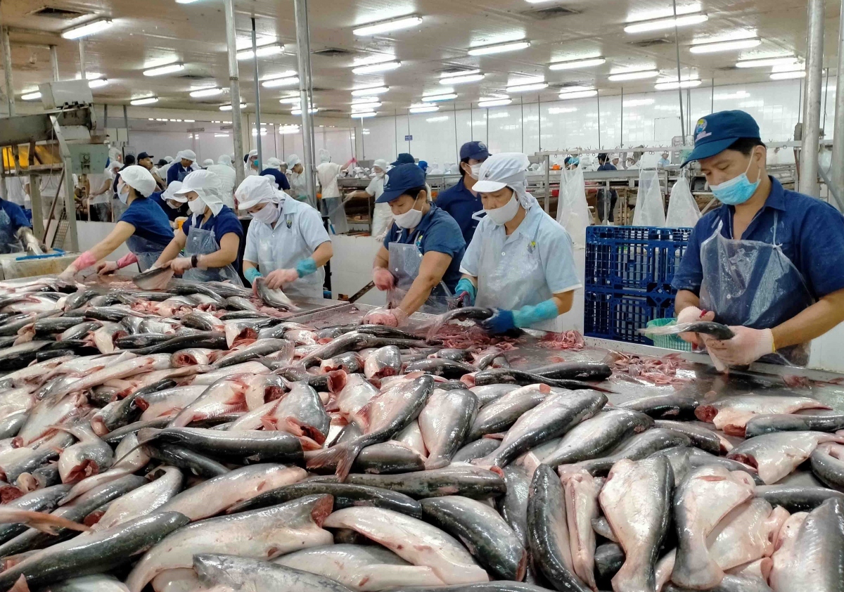 Vietnam emerges as second largest supplier of whitefish to US