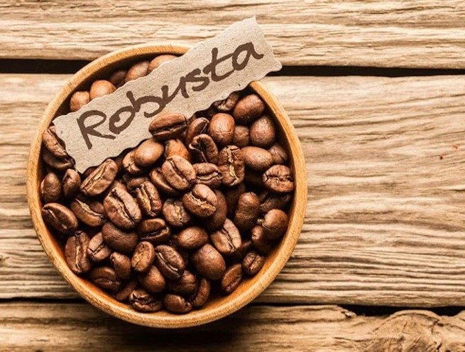 Export price of Vietnamese Robusta coffee beans shoots up globally