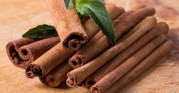 Vietnam earns US$22.9 million from cinnamon exports in August